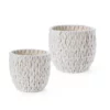 Saddle River V-Weave Cotton Rope Basket 2-piece Set