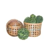 Home Decorative Woven Storage Basket - Set Of 3